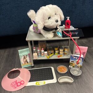 Pet Care Playset